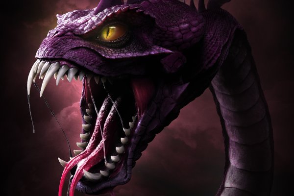 Kraken маркет whitenet только через tor