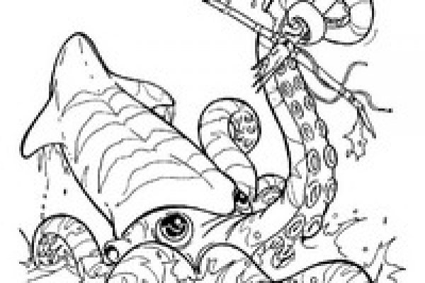 Kraken 26 at