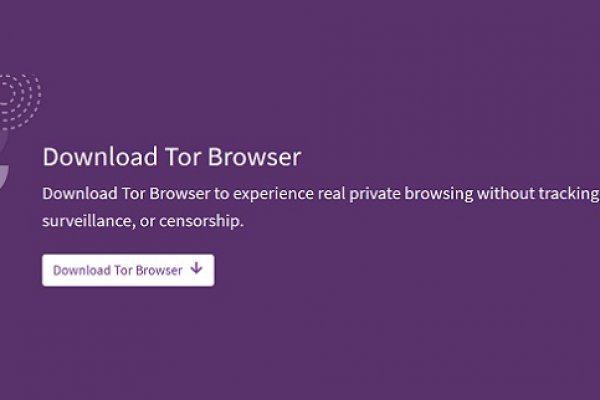 Kraken tor link