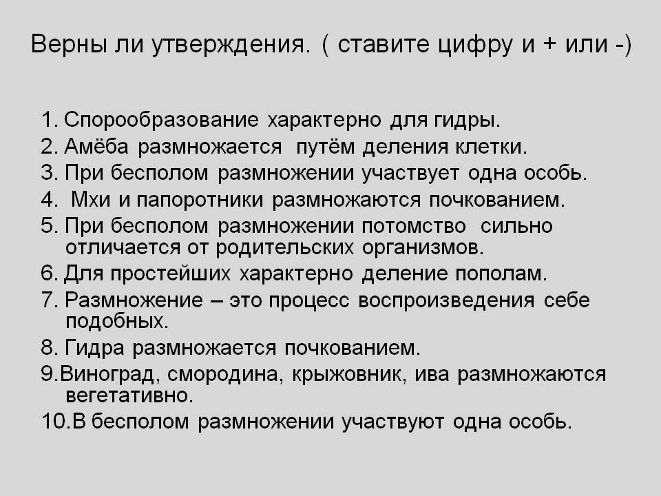 Кракен сайт что это