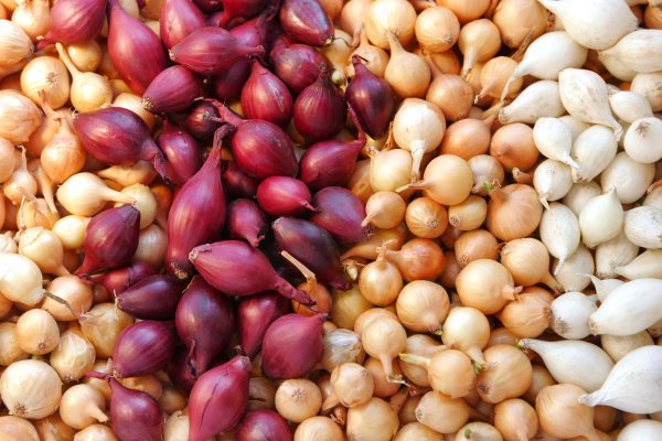Какая сейчас ссылка на кракен