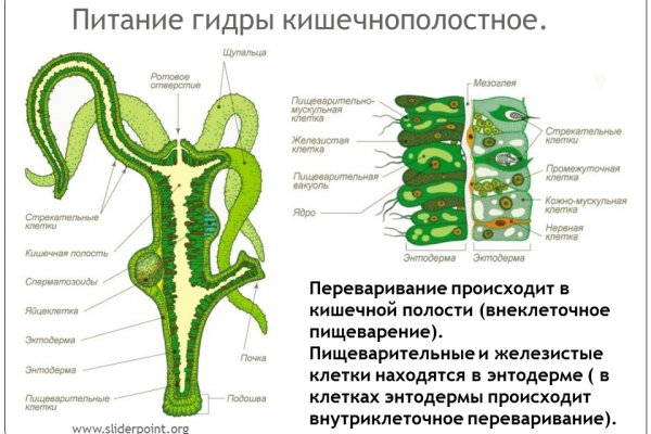 Список сайтов супернета