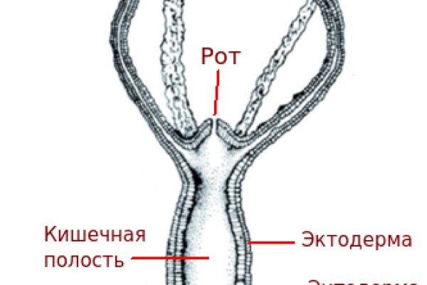 Адрес сайта кракен