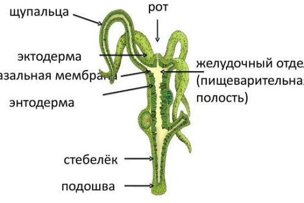 Кракен супернет войти