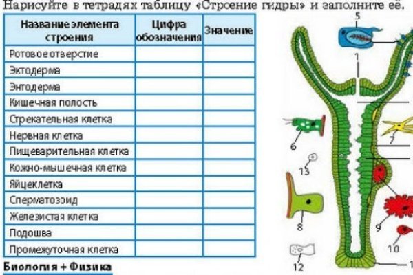 Пользователь не найден кракен что делать
