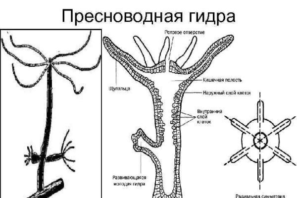 Супернет каталог
