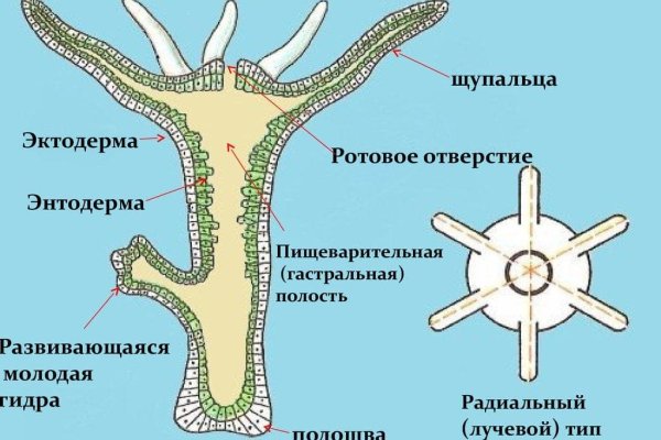Что с кракеном сайт на сегодня