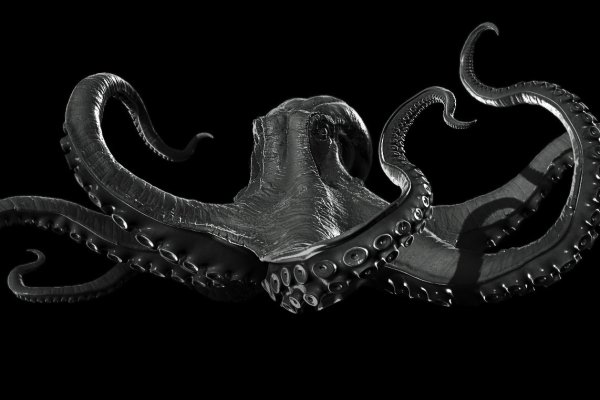 Kraken17 at
