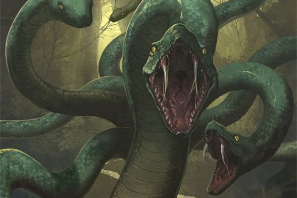 Kraken 12g